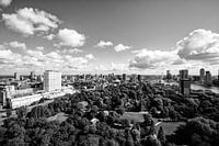 Erasmuspark Rotterdam - Panorama Rotterdam