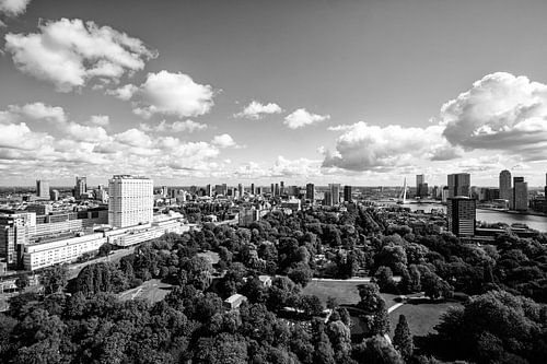Erasmuspark Rotterdam - Panorama Rotterdam