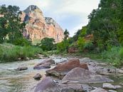 Dans la rivière Virgin, dans le parc national de Zion par Moniek van Rijbroek Aperçu