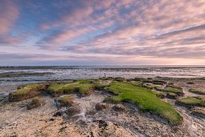 Wattenmeer