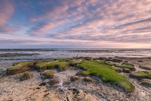 Waddenzee