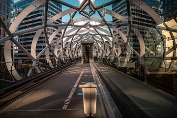 In de viaduct de Netkous van Den Haag in Nederland - hoog contrast door de sigma ART lens. van Jolanda Aalbers