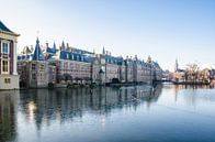 Den Haag - Hofvijver in de winter van Ricardo Bouman thumbnail