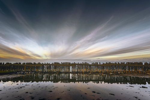 Wadden Sea Moddergat