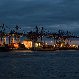 Hamburgse haven bij nacht