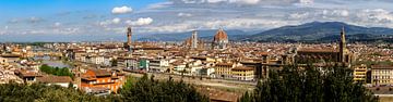 Uitzicht over Florence van Dirk Rüter