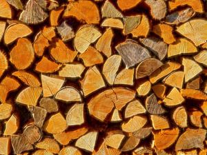 Stock de bois (bûches pour la cheminée ou le poêle) sur Caroline Lichthart