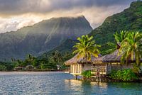 Zonsopkomst Moorea