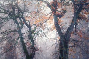 Kleine Herbstberührung
