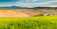 Paysage dans le sud de la Toscane / Val d'Orcia par Damien Franscoise Aperçu
