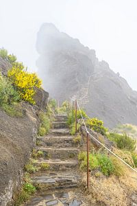 Passerelle Vereda do Areeiro - Pico Ruivo au-dessus des hautes montagnes de Madère sur Sjoerd van der Wal Photographie