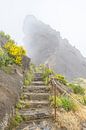 Vereda do Areeiro - Pico Ruivo loopbrug over het hooggebergte op Madeira van Sjoerd van der Wal Fotografie thumbnail