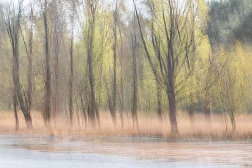 ontluikend voorjaar aan het ven