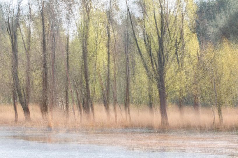 budding spring at the marsh by Ria Bloemendaal