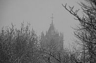 Puntje van de Dom op een winterse dag van Martien Janssen thumbnail