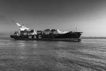 MSC Santhya Vlissingen van MSP Canvas