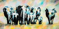  African elephant family