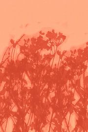 Levendige abstracte minimalistische botanische kunst in koraal en terracotta van Dina Dankers