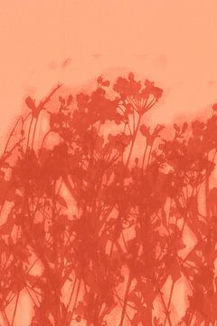 Lebendige abstrakte minimalistische botanische Kunst in Koralle und Terrakotta