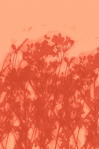 Vivid abstract minimalist botanical art in coral and terracotta by Dina Dankers