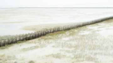 De Flügelpôlle op Ameland - Wadden eilanden - Nederland van Danny Budts