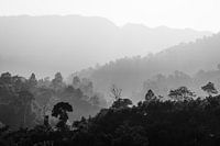 Les montagnes dans le brouillard en noir et blanc