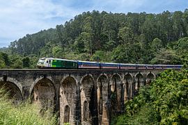 Trein rijdend over de Nine Arch Bridge bij Ella in Sri Lanka
