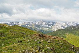 Frühlingshafte Blütenvielfalt in den Vinschgauer Bergen – Alpglöckchen, Wollgras und alpine Wiesen vor eindrucksvoller Gipfelkulisse. von Miriam Schwarzfischer Fotografie