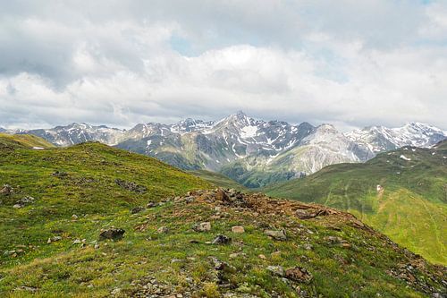 Lentebloemenpracht in de bergen van Vinschgau – alpenklokjes, wollegras en alpenweiden tegen een indrukwekkende achtergrond van bergtoppen.