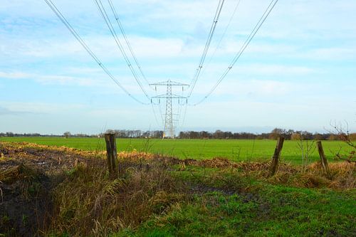View on agriculture, Groningen, Doezum