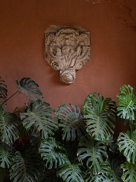 Vintage korallenrosa Wand mit botanischen Blättern | Reisefotografie Sevilla von Teun Janssen