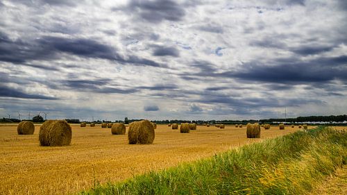 Stro rollen op het land