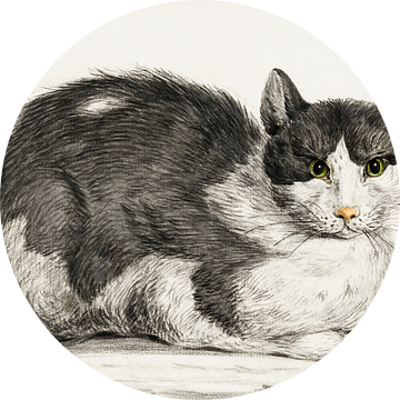 Liggende kat door Jean Bernard. Retro tekening van het Rijksmuseum van Dina Dankers