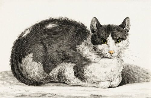 Liggende kat door Jean Bernard. Retro tekening van het Rijksmuseum