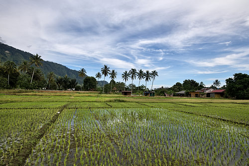 Traditionelle ländliche Landschaft auf Sumatra