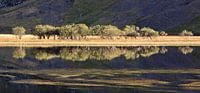 Reflectie in meer, Loch Achtriochtan , Glencoe, Schotland van Johan Zwarthoed thumbnail