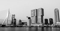 Skyline Rotterdam
