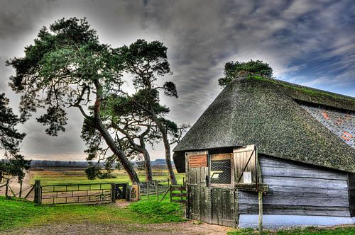 Schaapkooi Ginkelse heide Ede.