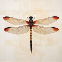 Dragonfly in watercolour