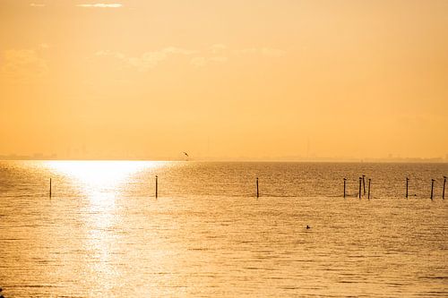 Zonsondergang  met oranje licht