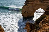 De zee en de kliffen in Portugal van elma maaskant thumbnail