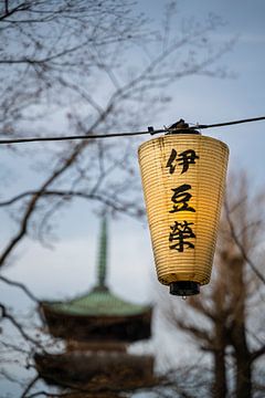 Lampion in Ueno Park van Mickéle Godderis