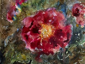 Heckenrose