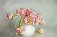 A Breath of spring - Tulips No3 von Lizzy Pe Miniaturansicht
