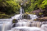 McLean Falls, New Zealand