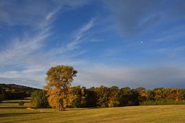 Herbst von Karin Jähne