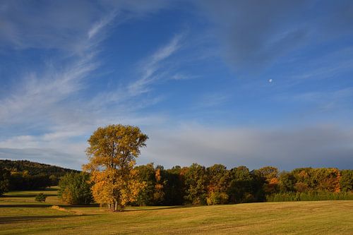 Herfst
