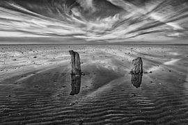 Salty wood by Remco de Vries