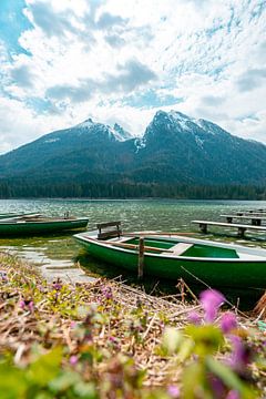 Eerste lentebloemen aan de Hintersee in Berchtesgaden van Leo Schindzielorz