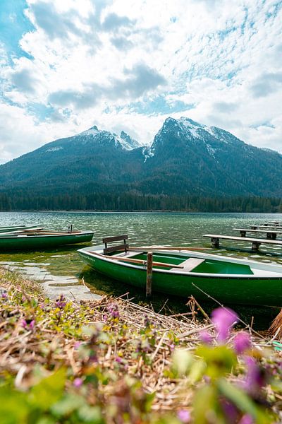 First spring flowers at Hintersee in Berchtesgaden by Leo Schindzielorz
